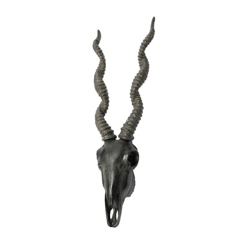 Antelope Skull Wall Decor
