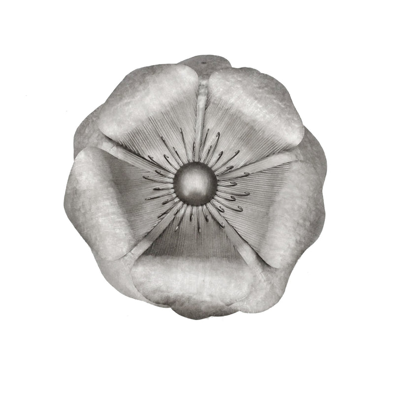 Silver Metal Poppy Wall Flower, 25.5", Window Box