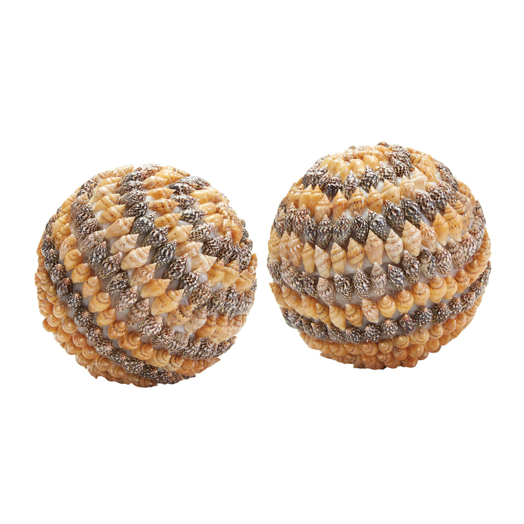 163-020/S2 Brown Shell Ball - Free Shipping!, Accessory, Dimond Home, - ReeceFurniture.com - Free Local Pick Ups: Frankenmuth, MI, Indianapolis, IN, Chicago Ridge, IL, and Detroit, MI