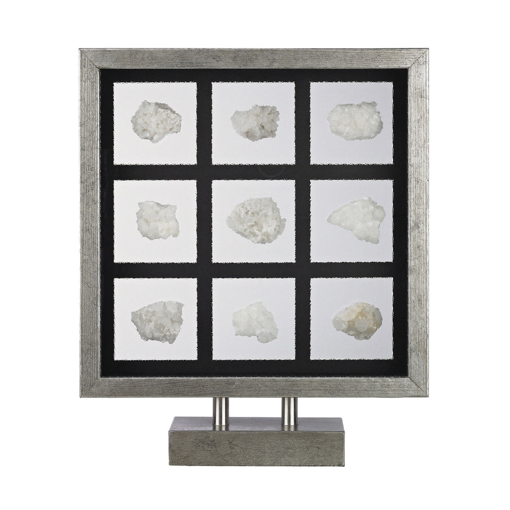 168-006 Sea Shell Table Top Display - Free Shipping!, Accessory, Dimond Home, - ReeceFurniture.com - Free Local Pick Ups: Frankenmuth, MI, Indianapolis, IN, Chicago Ridge, IL, and Detroit, MI