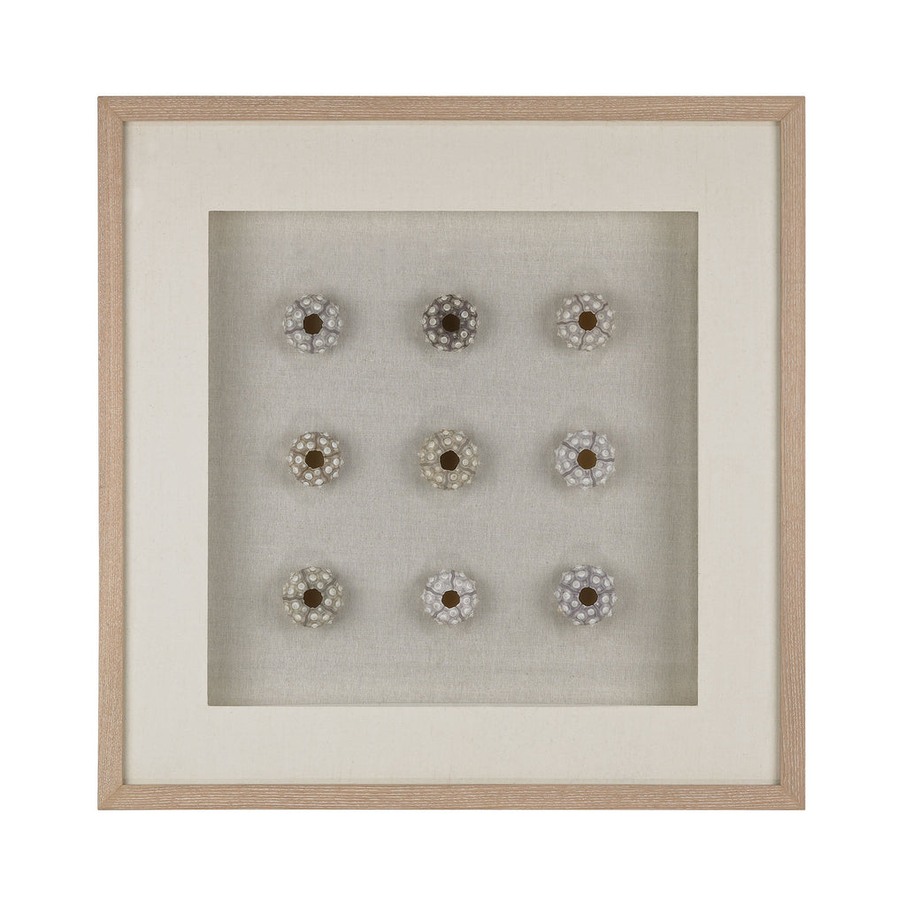 168-011 Sea Urchin Wall Decor - Free Shipping!, Wall Decor, Dimond Home, - ReeceFurniture.com - Free Local Pick Ups: Frankenmuth, MI, Indianapolis, IN, Chicago Ridge, IL, and Detroit, MI