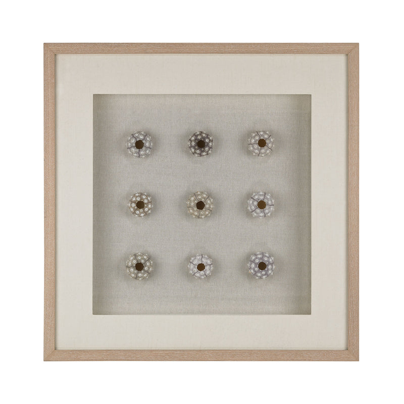168-011 Sea Urchin Wall Decor - Free Shipping!, Wall Decor, Dimond Home, - ReeceFurniture.com - Free Local Pick Ups: Frankenmuth, MI, Indianapolis, IN, Chicago Ridge, IL, and Detroit, MI