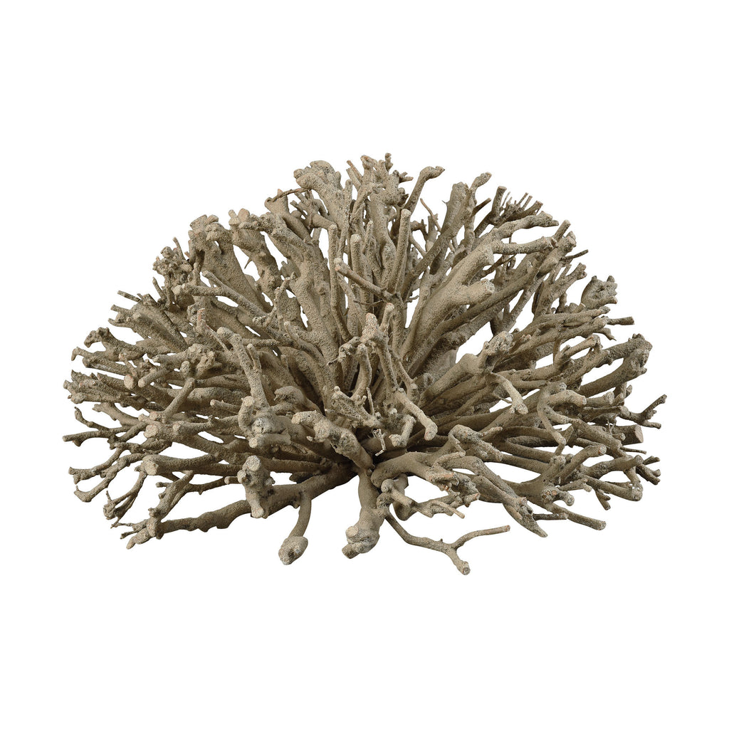 2181-042 Wistmans Wood Botanical Hemisphere - Coral, Accessory, Dimond Home, - ReeceFurniture.com - Free Local Pick Ups: Frankenmuth, MI, Indianapolis, IN, Chicago Ridge, IL, and Detroit, MI