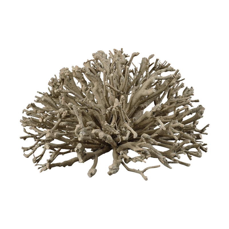 2181-042 Wistmans Wood Botanical Hemisphere - Coral, Accessory, Dimond Home, - ReeceFurniture.com - Free Local Pick Ups: Frankenmuth, MI, Indianapolis, IN, Chicago Ridge, IL, and Detroit, MI