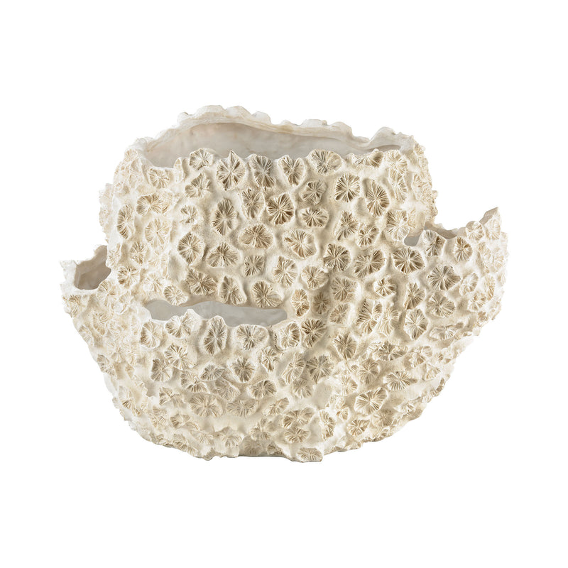 2182-014 Cretaceous Clam Shell, Vase/Urn, Dimond Home, - ReeceFurniture.com - Free Local Pick Ups: Frankenmuth, MI, Indianapolis, IN, Chicago Ridge, IL, and Detroit, MI