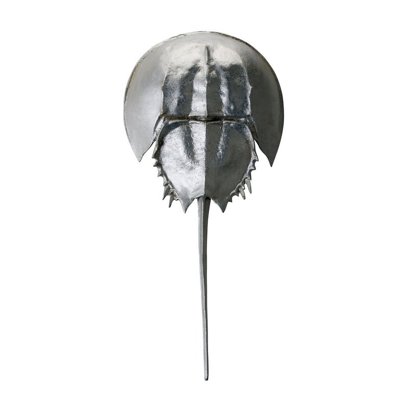 228005 Silver Mica Horseshoe Crab, Accessory, Dimond Home, - ReeceFurniture.com - Free Local Pick Ups: Frankenmuth, MI, Indianapolis, IN, Chicago Ridge, IL, and Detroit, MI