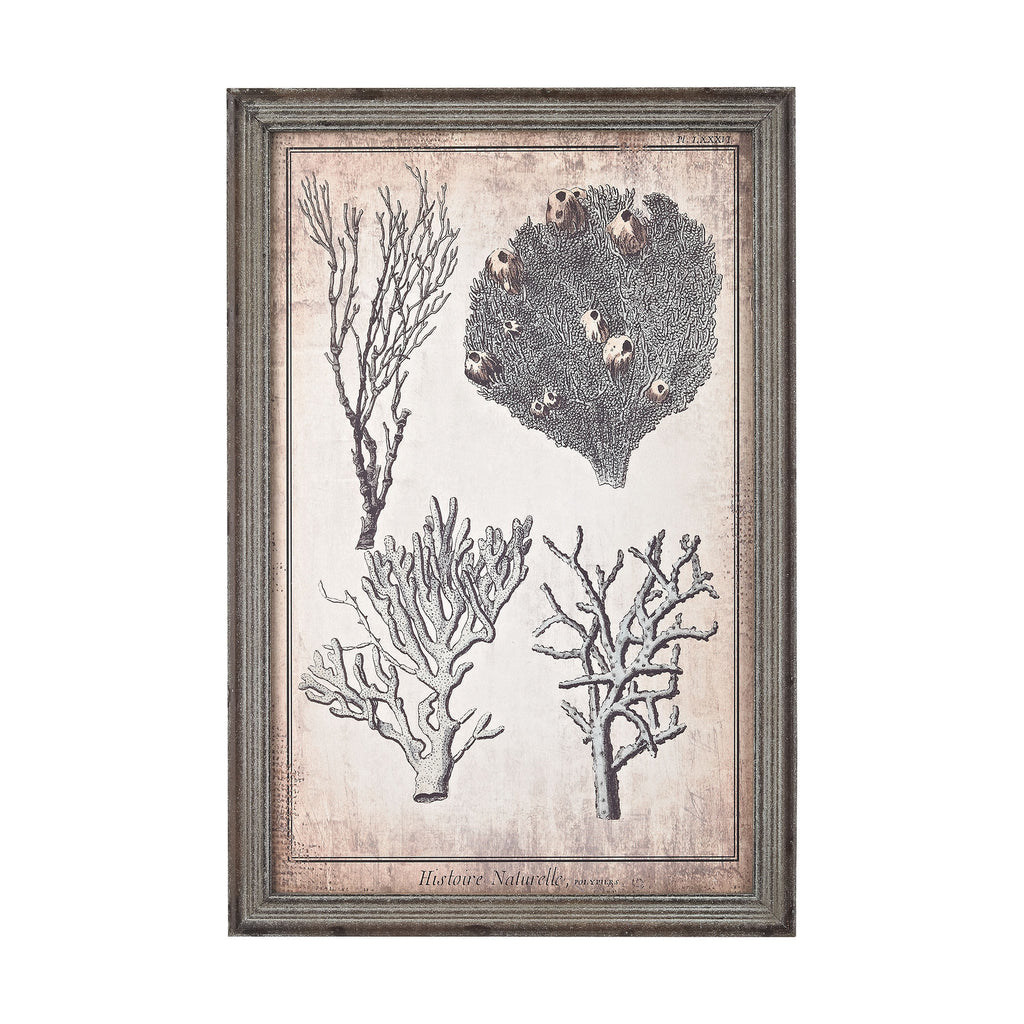 3138-246 Coral Print in Blue, Wall Decor, Sterling, - ReeceFurniture.com - Free Local Pick Ups: Frankenmuth, MI, Indianapolis, IN, Chicago Ridge, IL, and Detroit, MI