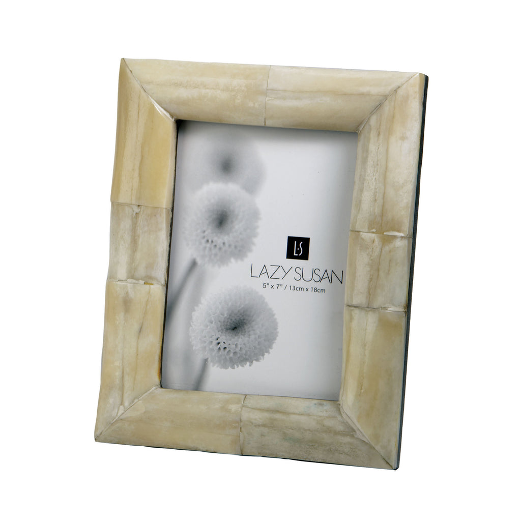 344027 Organic Bone Frame, Frame, Dimond Home, - ReeceFurniture.com - Free Local Pick Ups: Frankenmuth, MI, Indianapolis, IN, Chicago Ridge, IL, and Detroit, MI