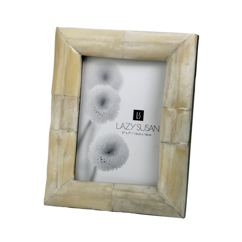 344027 Organic Bone Frame, Frame, Dimond Home, - ReeceFurniture.com - Free Local Pick Ups: Frankenmuth, MI, Indianapolis, IN, Chicago Ridge, IL, and Detroit, MI
