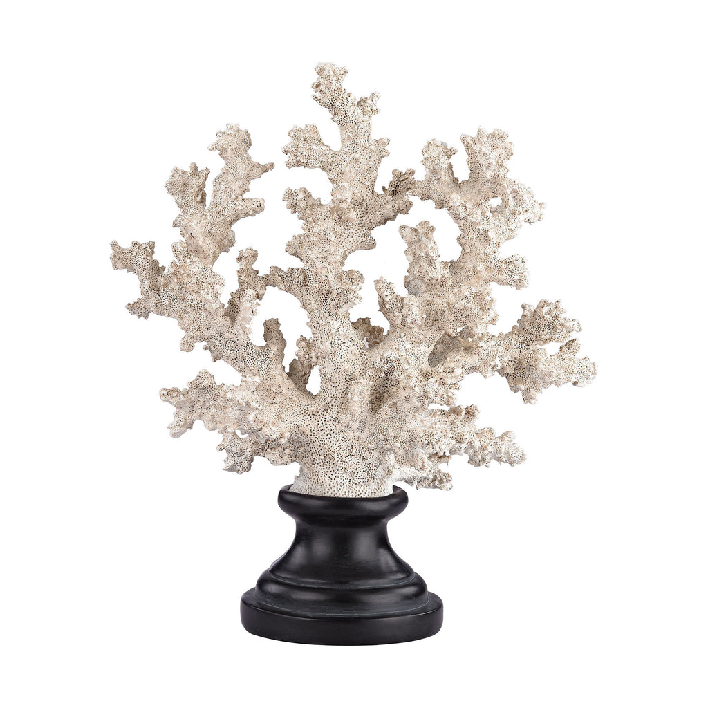 387-017 Aged White Coral on Stand - Short, Accessory, Sterling, - ReeceFurniture.com - Free Local Pick Ups: Frankenmuth, MI, Indianapolis, IN, Chicago Ridge, IL, and Detroit, MI