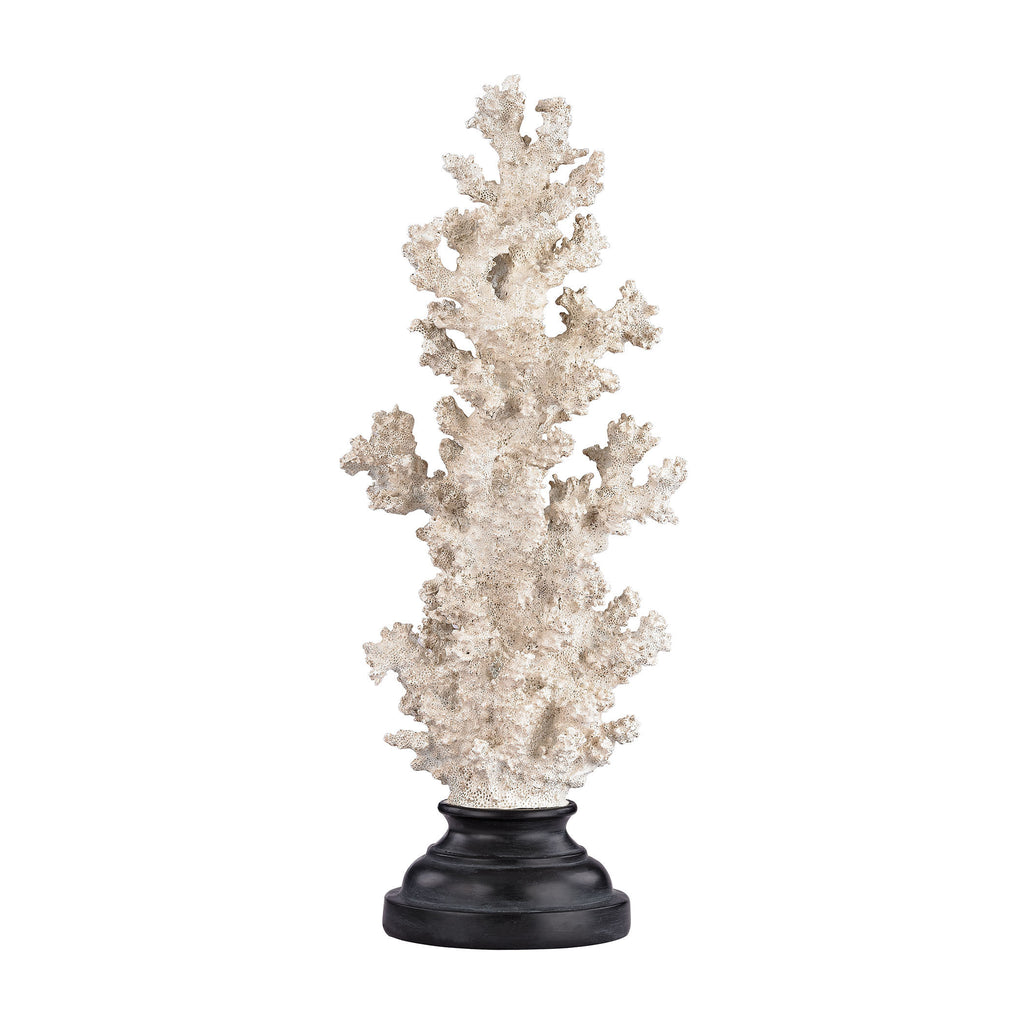 387-018 Aged White Coral on Stand - Tall, Accessory, Sterling, - ReeceFurniture.com - Free Local Pick Ups: Frankenmuth, MI, Indianapolis, IN, Chicago Ridge, IL, and Detroit, MI