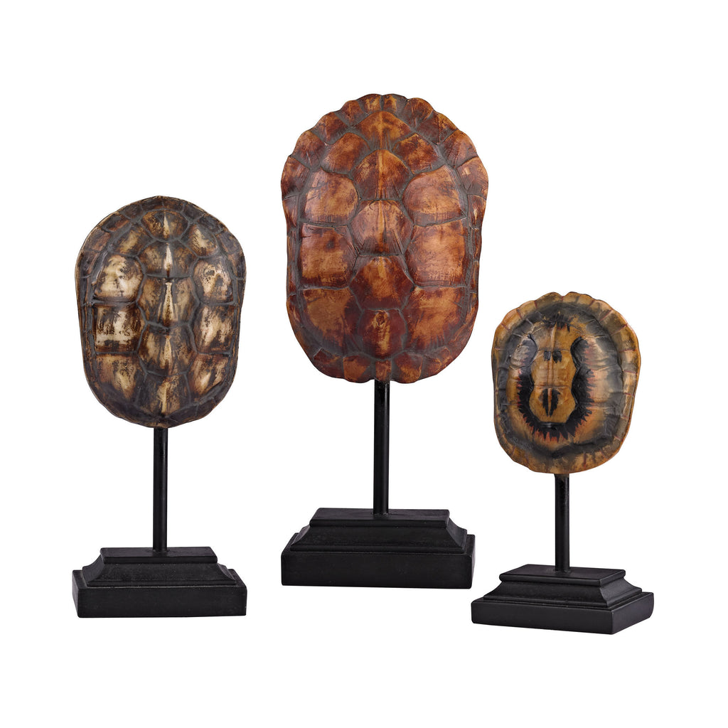 387-020/S3 Set of 3 Turtle Shells on Stands, Accessory, Sterling, - ReeceFurniture.com - Free Local Pick Ups: Frankenmuth, MI, Indianapolis, IN, Chicago Ridge, IL, and Detroit, MI