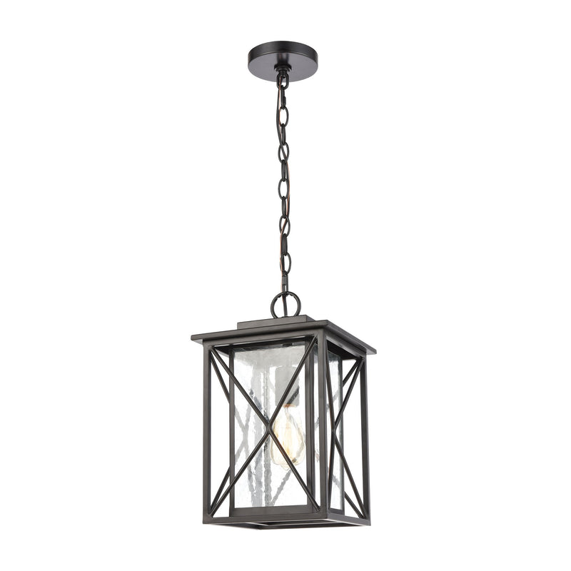 Carriage Light - Hanging - Matte Black