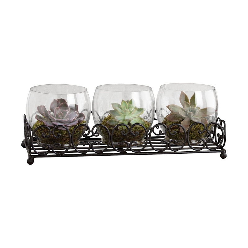 670084 - Canter Centerpiece
