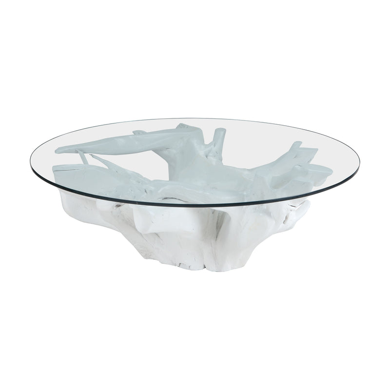 7011-005 White Teak Root Coffee Table Table - RauFurniture.com