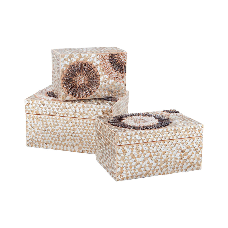 7163-037 Large Capiz Shell Urchin Box Box/Canister - RauFurniture.com