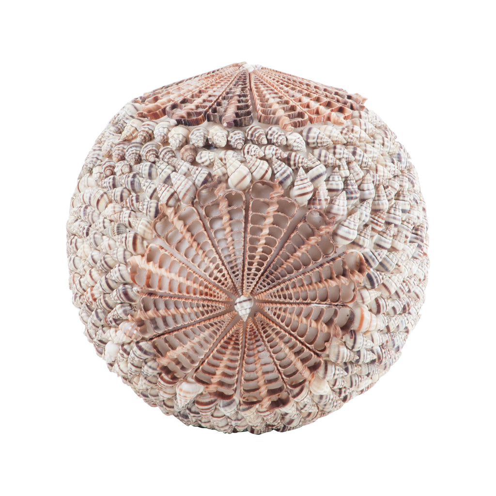 7163-045 Sliced Shell Spiral Ball Accessory - RauFurniture.com