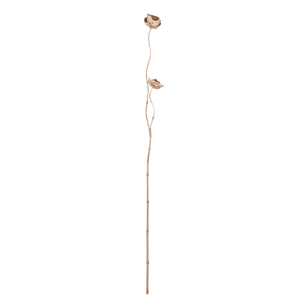 7163-066 Gold Lontar Fruit Leaves Accessory - RauFurniture.com