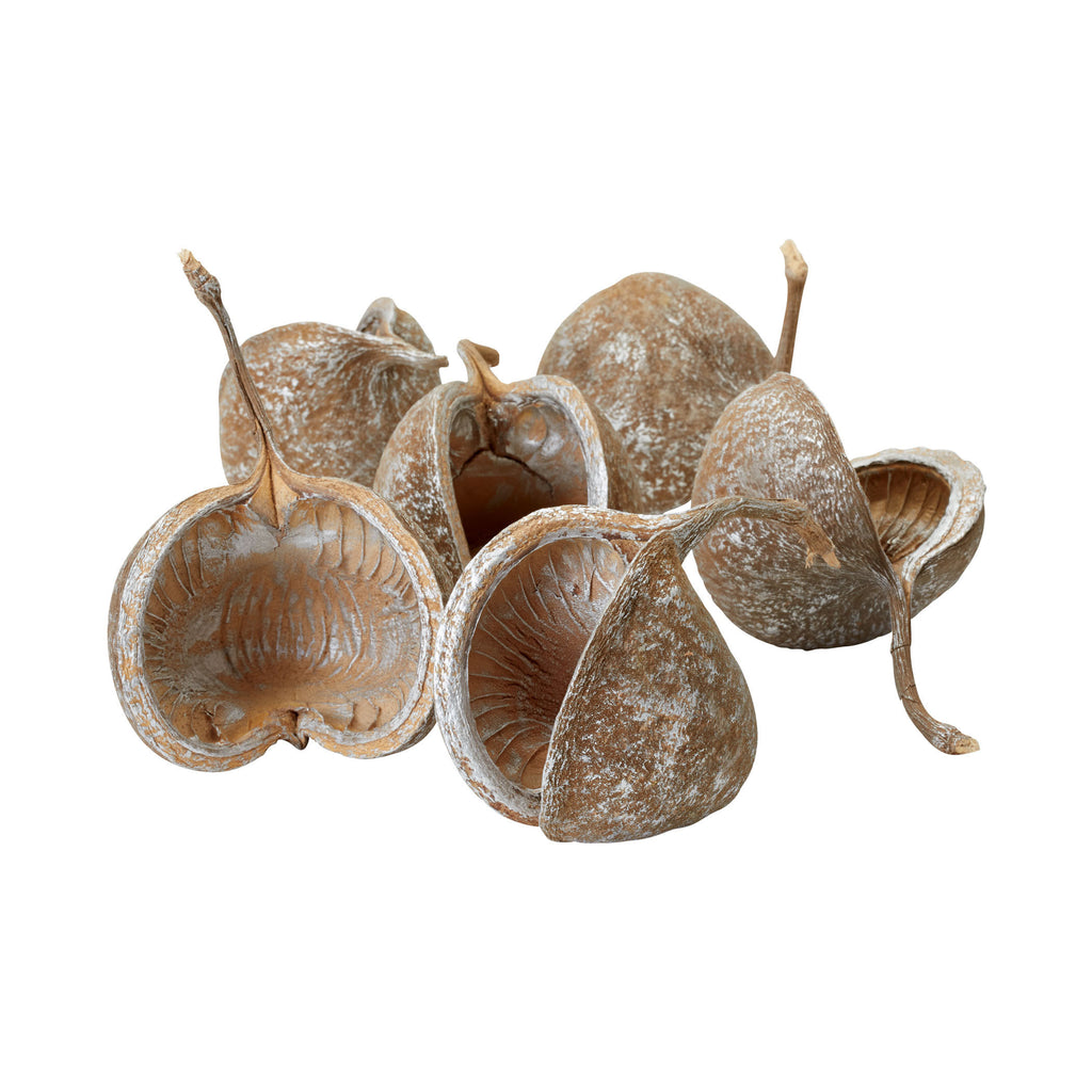 742003 Silver Gilt Wash Buddha Nut Shells - Set of 6 Accessory - RauFurniture.com