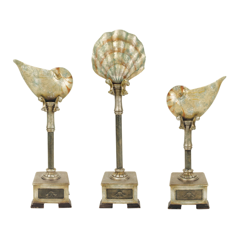 91-4423 Set of 3 Cultured Seashells - Free Shipping! Accessory - RauFurniture.com