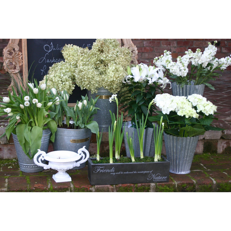 BUCK006 - English Flower Bucket - Large