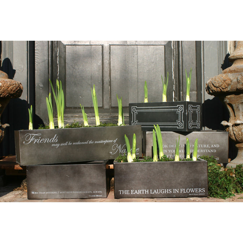 BULB005 - Earth Laughs Bulb Forcer