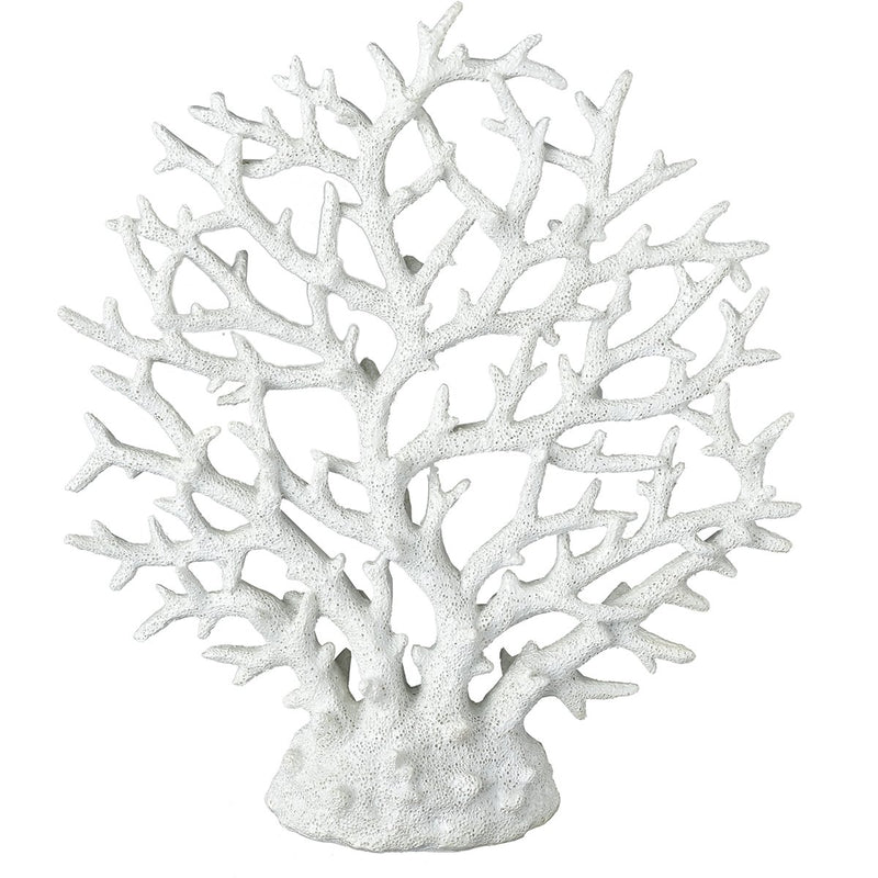 015724 - Caribbean Tree Coral