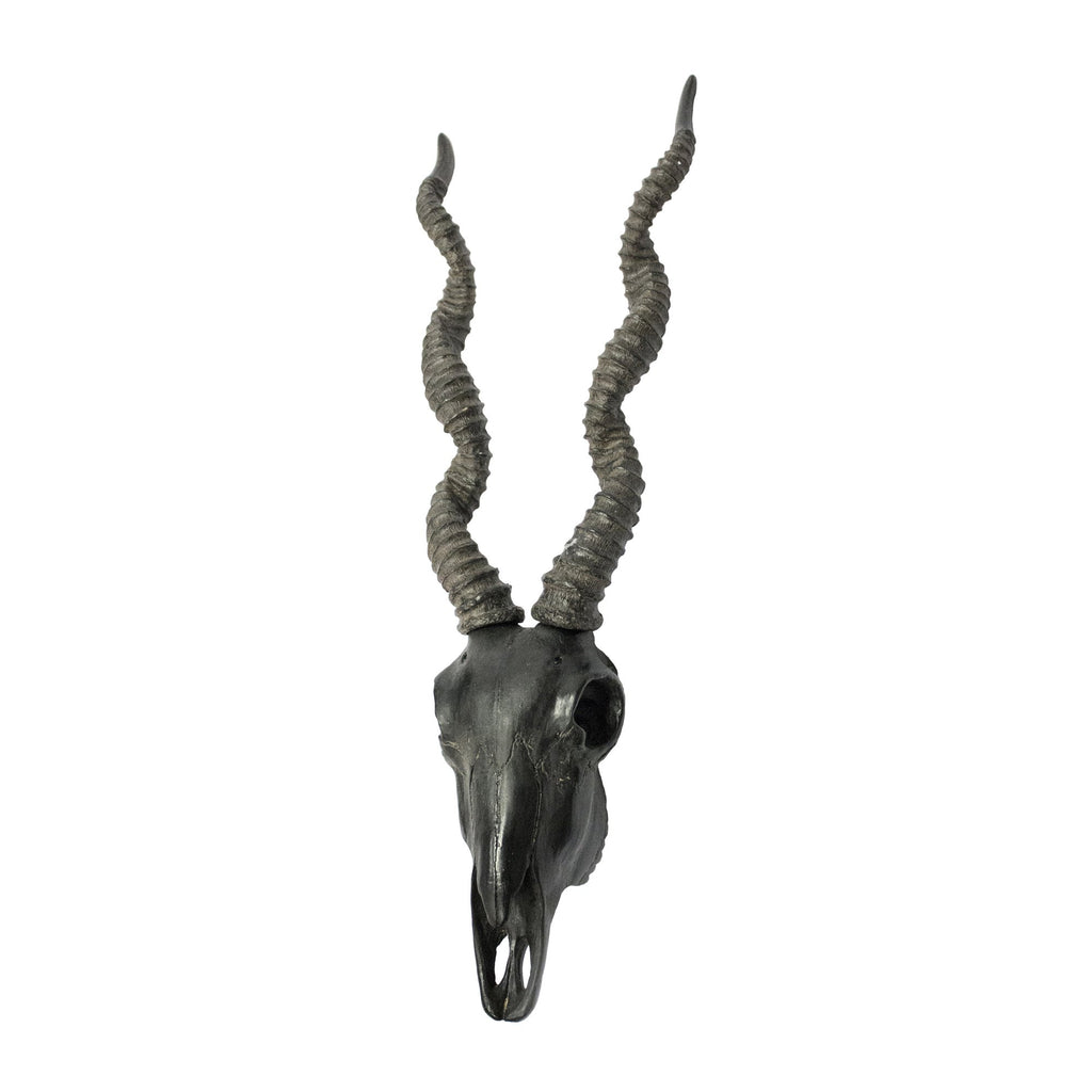 Antelope Skull Wall Decor