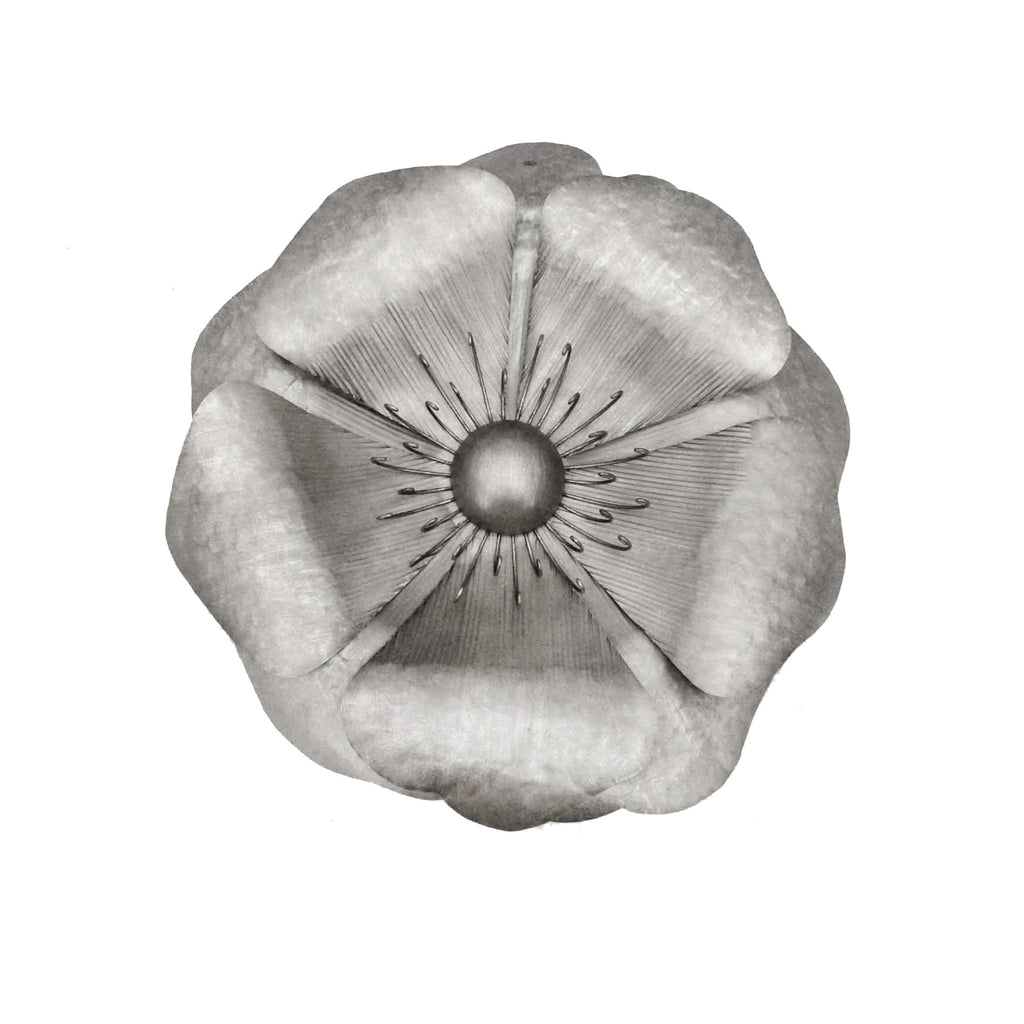 Silver Metal Poppy Wall Flower,  25.5", Window Box