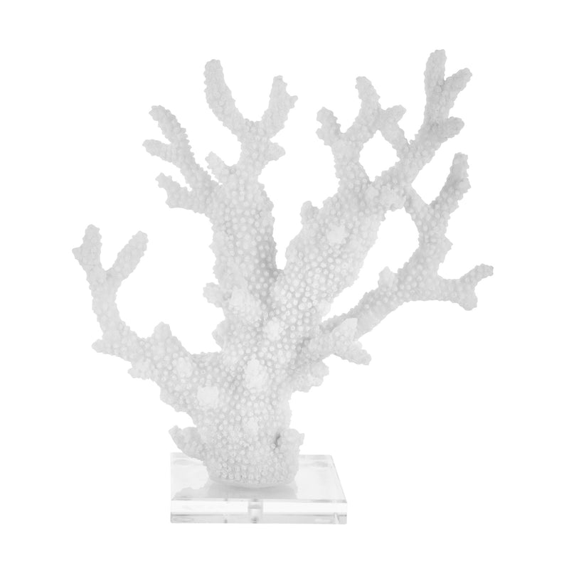 White Coral On Acrylic Base 13"