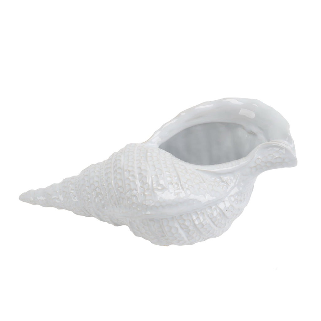White Ceramic Shell