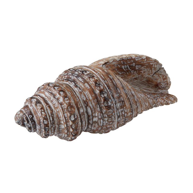 159-002 Decorative Wooden Conch Shell - Free Shipping!, Accessory, Dimond Home, - ReeceFurniture.com - Free Local Pick Ups: Frankenmuth, MI, Indianapolis, IN, Chicago Ridge, IL, and Detroit, MI