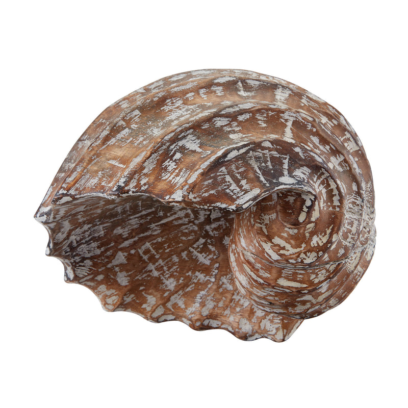 159-004 Decorative Wooden Helix Shell - Free Shipping!, Accessory, Dimond Home, - ReeceFurniture.com - Free Local Pick Ups: Frankenmuth, MI, Indianapolis, IN, Chicago Ridge, IL, and Detroit, MI