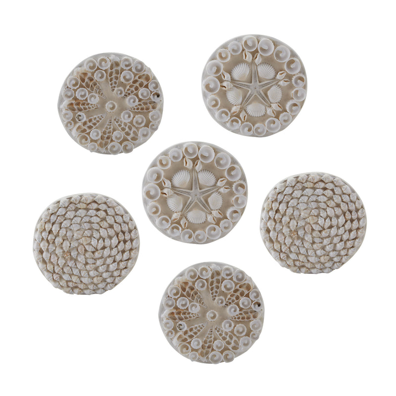 159-005/S6 Shell Coasters - Set of 6, Accessory, Dimond Home, - ReeceFurniture.com - Free Local Pick Ups: Frankenmuth, MI, Indianapolis, IN, Chicago Ridge, IL, and Detroit, MI