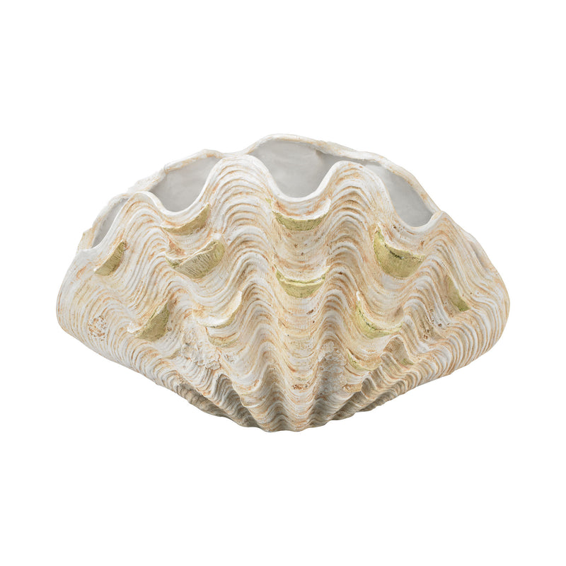 2182-006 Cretaceous Shell Bowl, Vase/Urn, Dimond Home, - ReeceFurniture.com - Free Local Pick Ups: Frankenmuth, MI, Indianapolis, IN, Chicago Ridge, IL, and Detroit, MI
