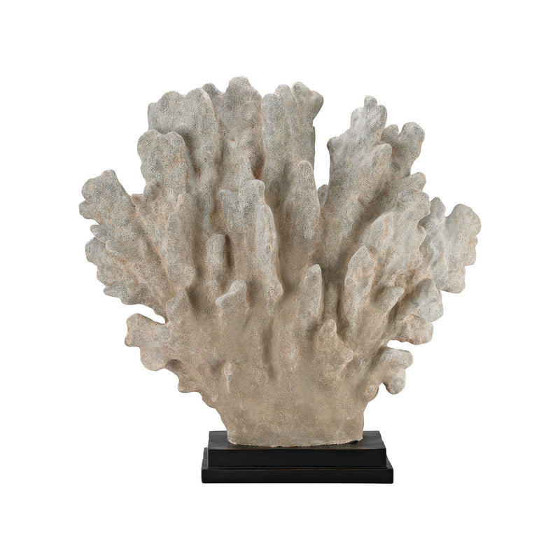 2182-015 Cretaceous Coral Sculpture, Sculpture, Dimond Home, - ReeceFurniture.com - Free Local Pick Ups: Frankenmuth, MI, Indianapolis, IN, Chicago Ridge, IL, and Detroit, MI
