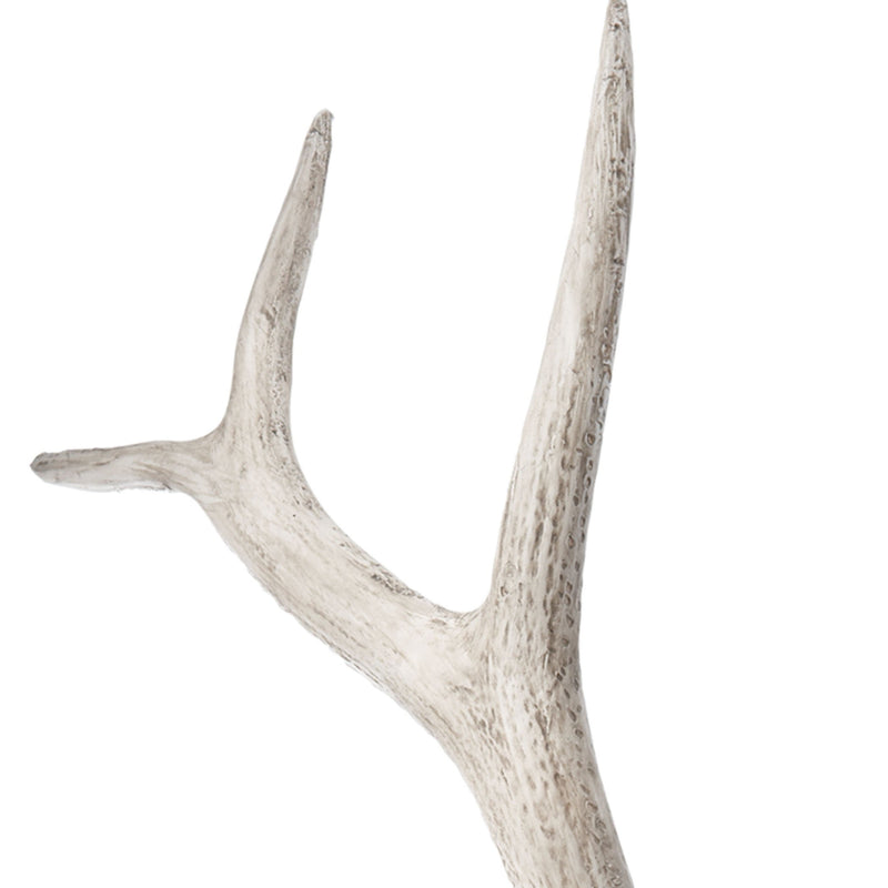 225025 - Ornamental Accessory