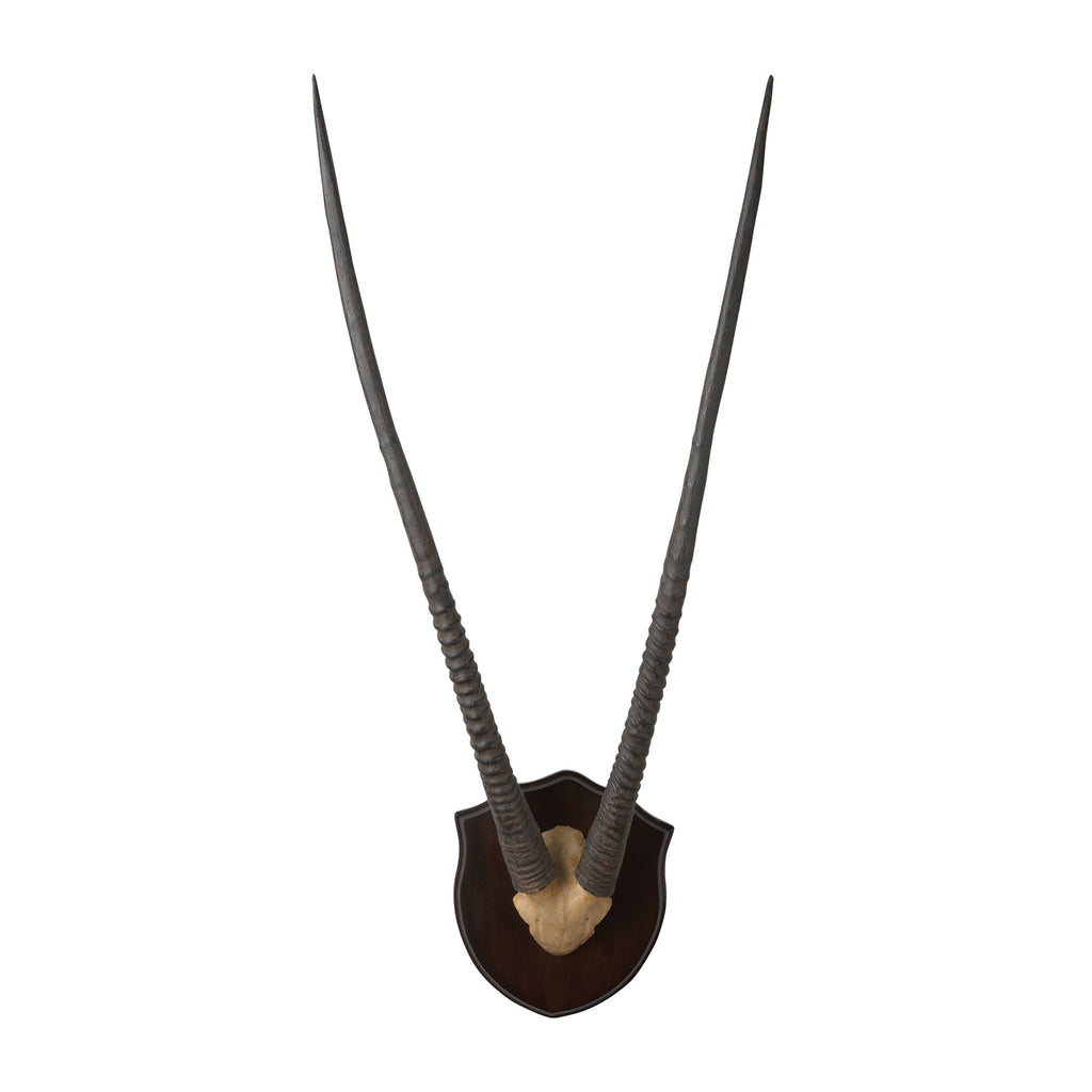 225027 Wall Mounted Resin Gazelle Horns With Dark Plaque, Wall Decor, Dimond Home, - ReeceFurniture.com - Free Local Pick Ups: Frankenmuth, MI, Indianapolis, IN, Chicago Ridge, IL, and Detroit, MI