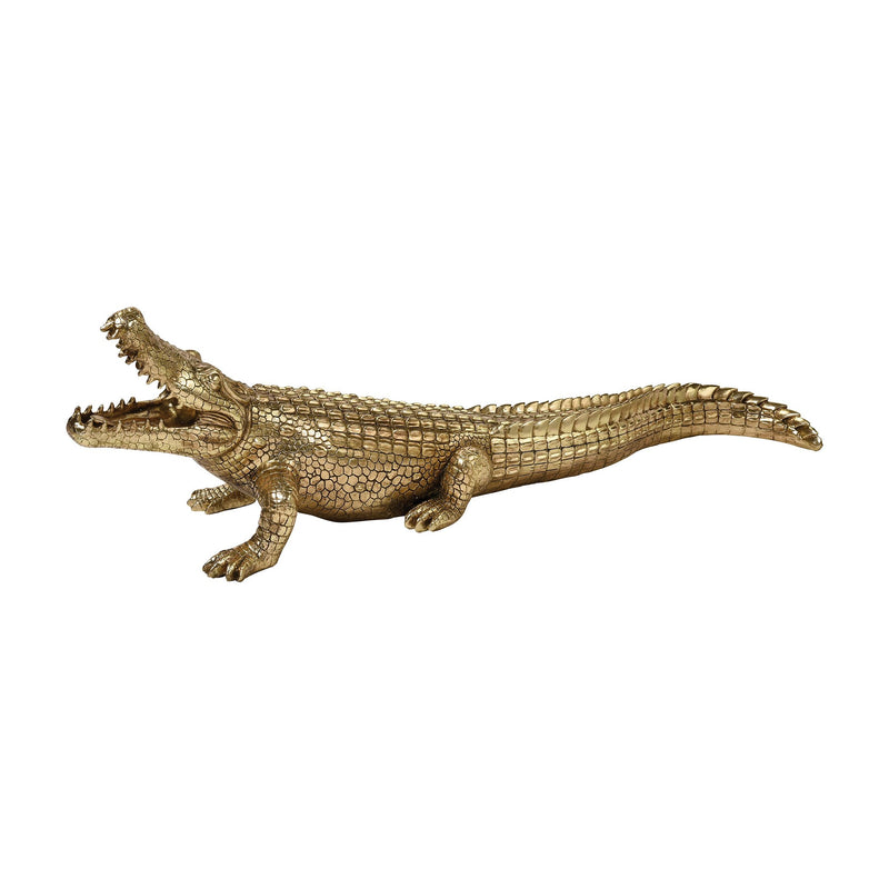 3212 - What a Croc