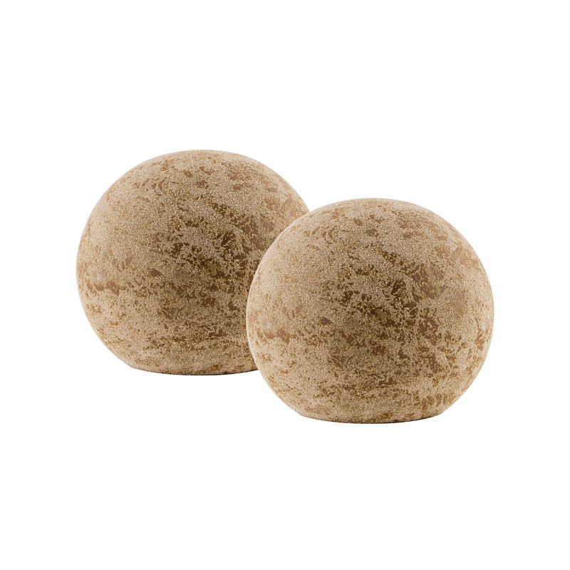 565069 - Globose Garden Sphere Fossil