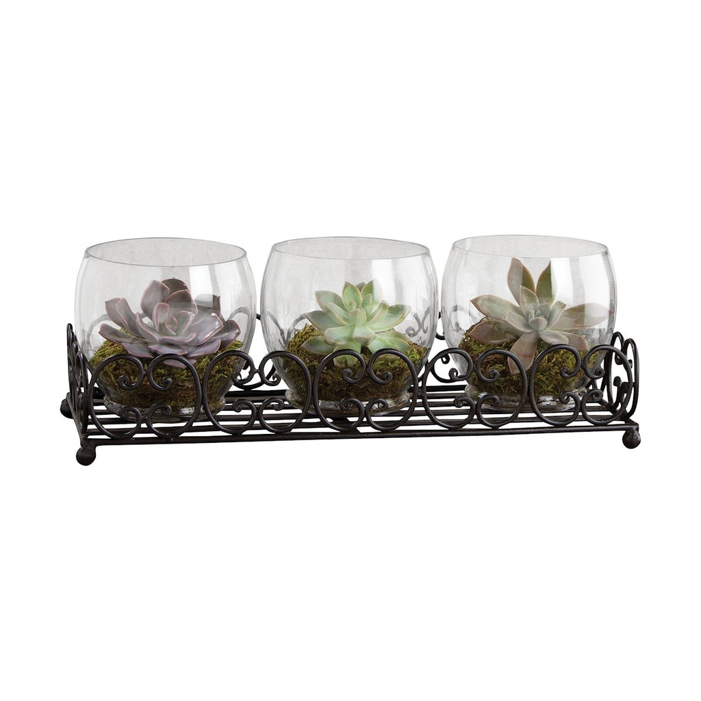 670084 - Canter Centerpiece