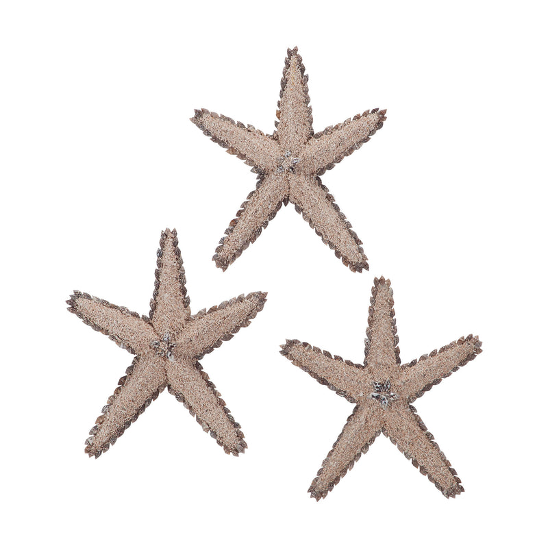7159-022/S3 Mixed Shell Star Fish - Free Shipping! Accessory - RauFurniture.com