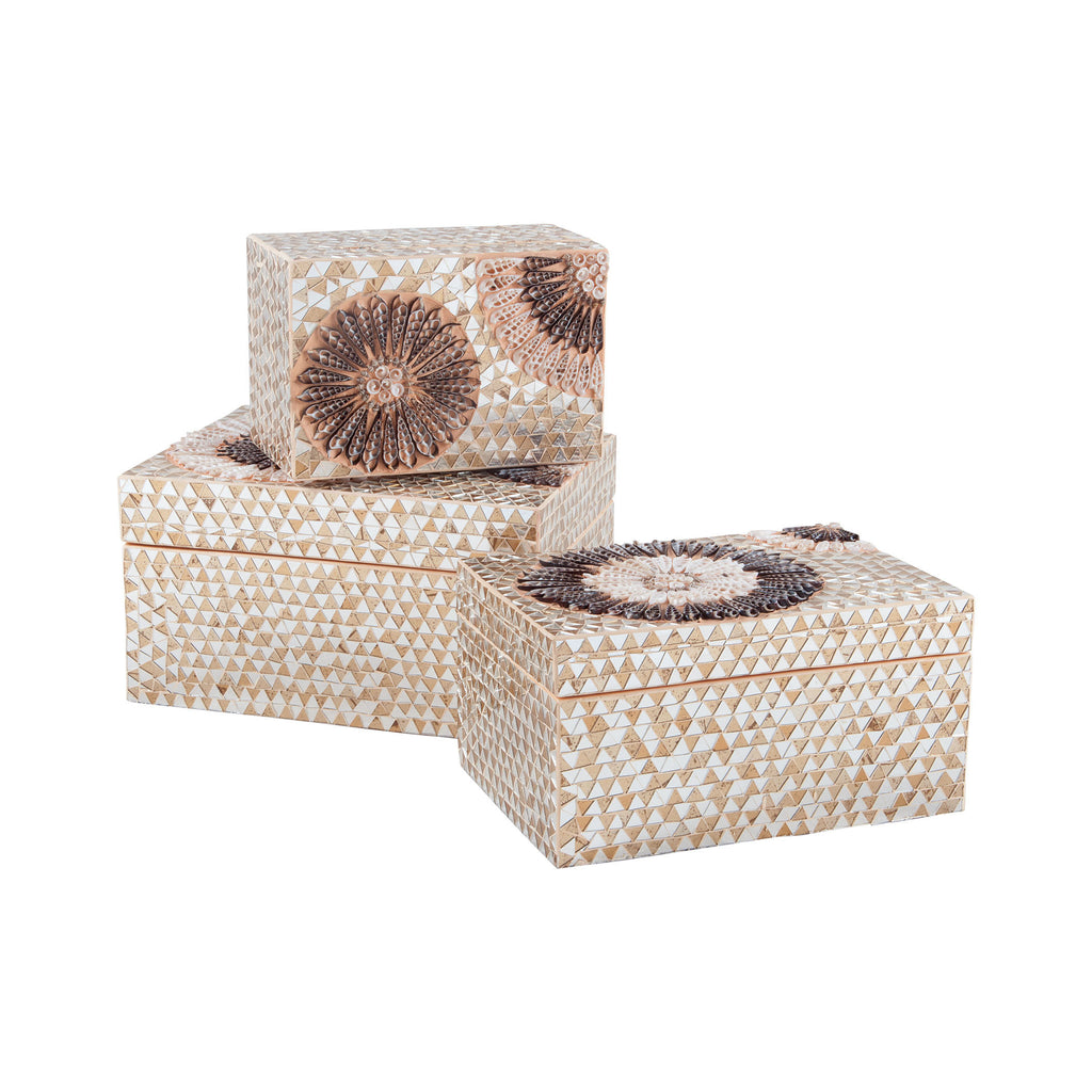7163-035 Small Capiz Shell Urchin Box Box/Canister - RauFurniture.com
