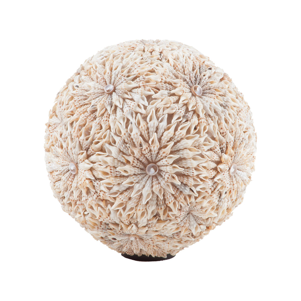 7163-043 Starfish Shell Ball Accessory - RauFurniture.com