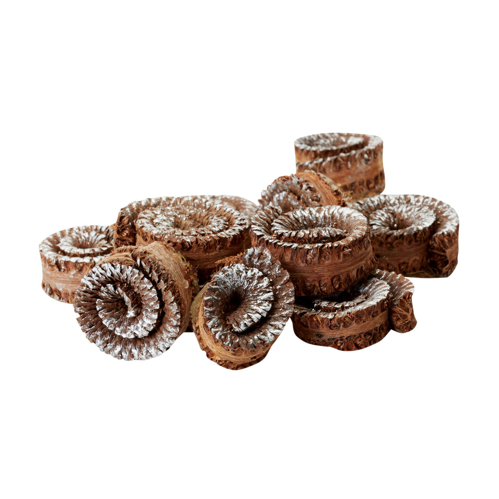 742004 Brushed Silver Gilt Palm Rule Spirals - Set of 48 Pieces Accessory - RauFurniture.com