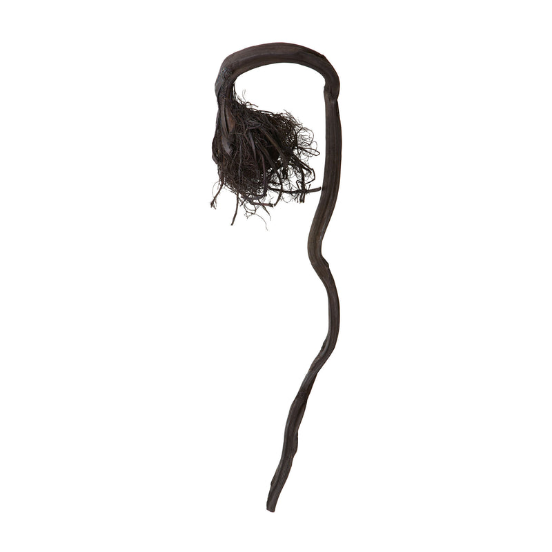 742007 Curly Black Kelp Root Accessory - RauFurniture.com