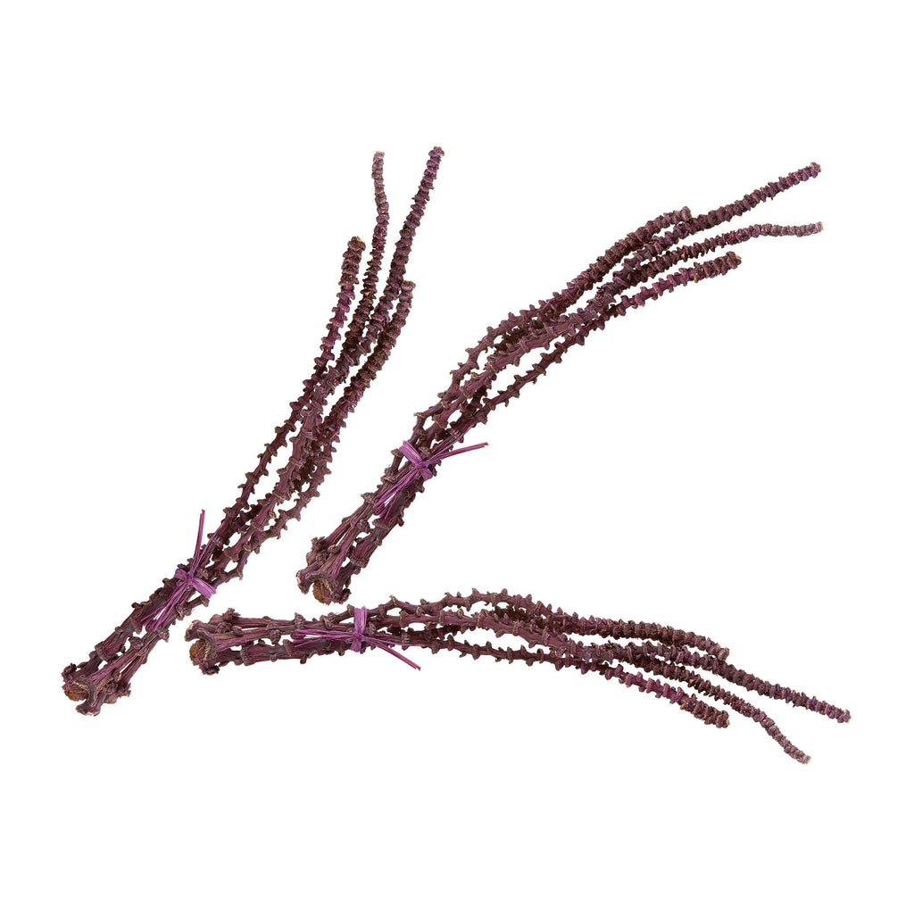 742018/S3 Oxblood Banana Stem Bunch - Set of 3 Accessory - RauFurniture.com