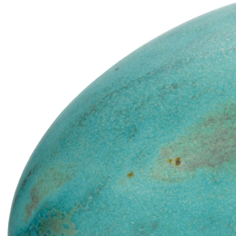 857023 - Dino Egg