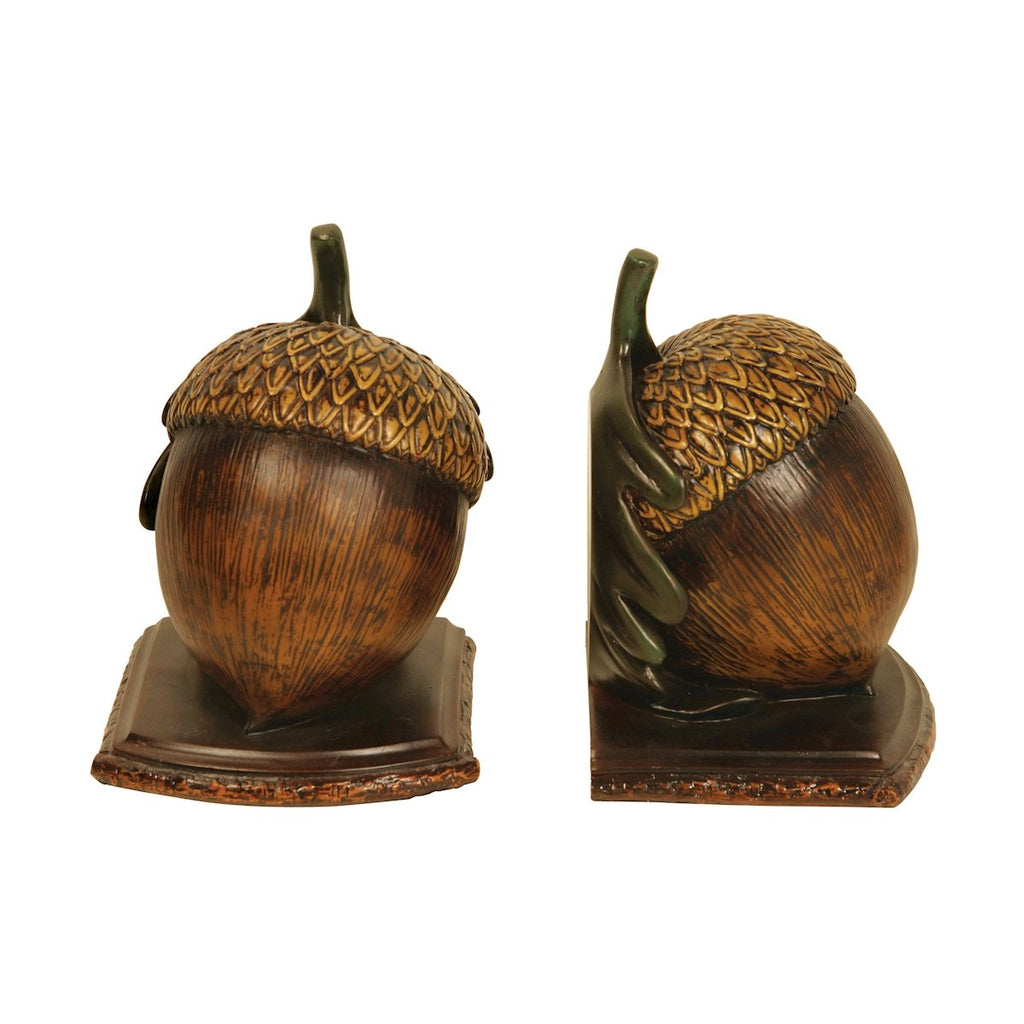 91 - Muir Woods Acorn